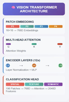 Vision Transformer Architecture